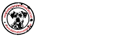 Dalmata Mentés